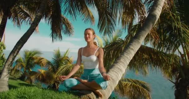 Girl Sits Lush Grassy Lawn Lotus Position Breathes Deeply Calmly — Stock Video