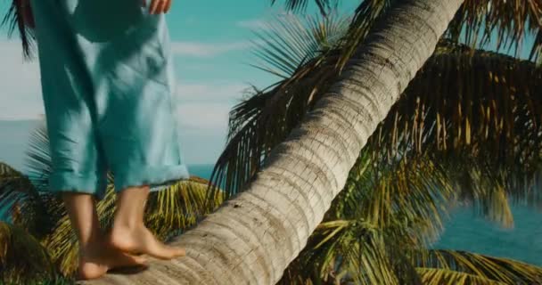 Menina Adolescente Escalando Tronco Árvore Descalça Parque Tropical Com Vista — Vídeo de Stock