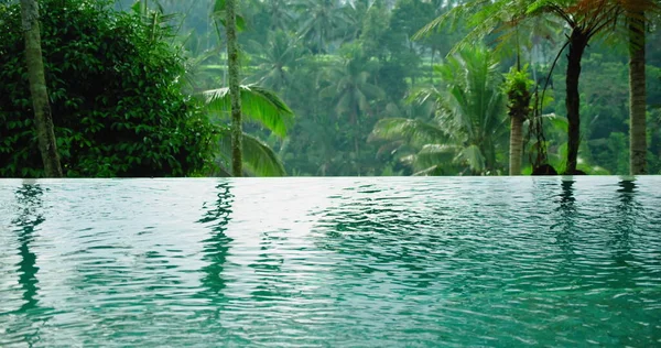 Palmbomen Ontspan Geniet Van Natuur Resort Wellness Harmonie Stockfoto