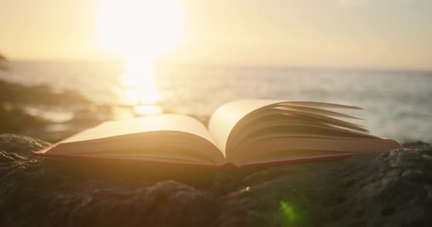 Öppen Bok Solnedgången Utomhus Heliga Bibeln Klippiga Stranden Söker Sanningen — Stockvideo