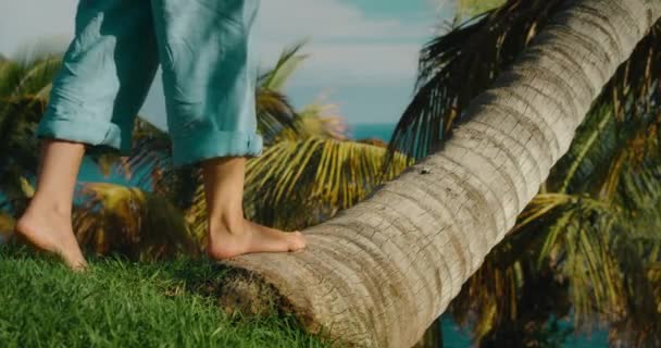 女孩赤脚爬在棕榈树上 女赤脚摸树皮 享受大自然的快乐和自由感 雨林中的特写慢镜头旅行 — 图库视频影像