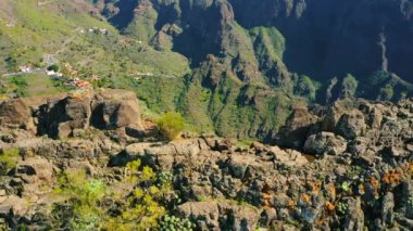 Tenerife dağlarının hava görüntüsü. Yeşil tepeler, uçurumlar, kayalar, çıkıntılar, ekilmemiş doğa manzarası. Tepelerdeki bahar çimenleri. Masca köyü ve körfez. Kanyonun muhteşem manzarası. Kanarya Adası. Kimse..