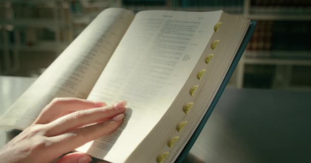 여자는 페이지에 햇빛이 빛나는 복음에서 성경을 가리키고 읽습니다 슬로우 모션에서 — 비디오