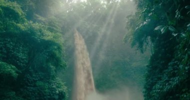Nungnung şelalesinin bulunduğu atmosferik yağmur ormanı eski tropik ağaçlar ve bitki örtüsü arasında kayboldu. Yağmur üstüne yağmur. Yoğun ormanın loş ışığında parlayan nemli yapraklar. Bali Adası Endonezya.