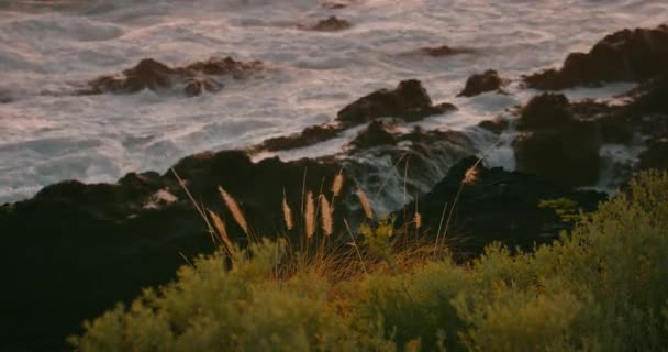 황금빛 바위가 해변에서 파도가 부서지고 화산의 해안에 폭풍우가 몰아치는 근접해 — 비디오