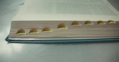 Üniversite kütüphanesindeki masada kutsal kitap açık. Bilge antik bir kitabın sayfalarındaki yazıtlar. Din ve inanç kavramı.