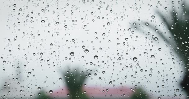 雨点落在窗玻璃上 街道上的建筑物和棕榈树模糊的户外景观 恶劣天气 — 图库视频影像