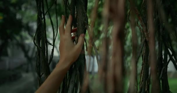 触摸的感觉 触觉周围世界的能力 女人喜欢大自然的美丽 女孩用手摸树根 热带花园 地球日电影特写动作缓慢 — 图库视频影像