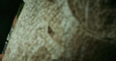 Tropik ağaç ormanlarındaki kadın sineması. Doğayla bütünlük kavramı.