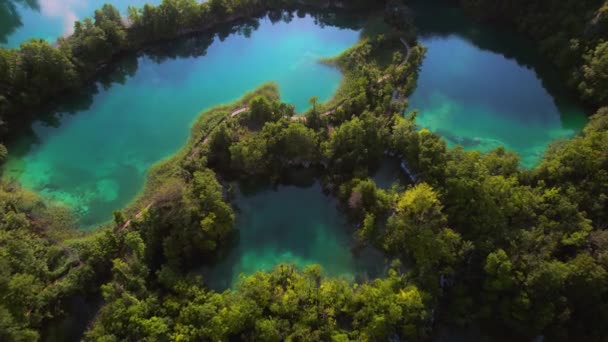 Гірське Озеро Густий Лісовий Пейзаж Влітку Початку Осені Сонячний День — стокове відео