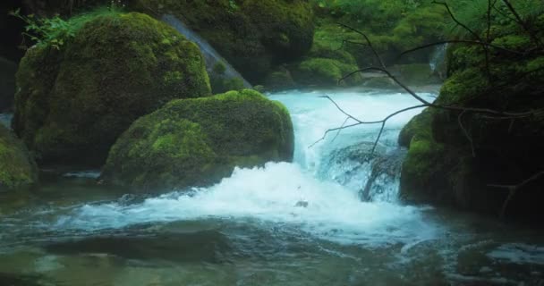 Hladiny Rychle Tekoucí Řeky Horském Lese Stoupá Pára Proud Čistou — Stock video
