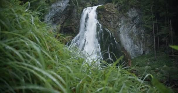 Scenic Waterfall Gollinger Wasserfall Austria Green Grass Raindrops Natural Attraction — Stock Video