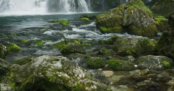 Dağ Nehri Yamaçtan Aşağı Akıyor Temiz Köpüğü Yeşil Yosunlarla Kaplanmış — Stok video