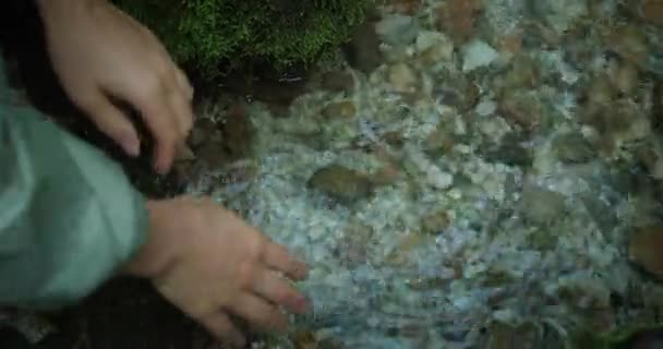 Χέρια Των Γυναικών Τραβούν Νερό Από Γρήγορο Ποτάμι Στις Παλάμες — Αρχείο Βίντεο