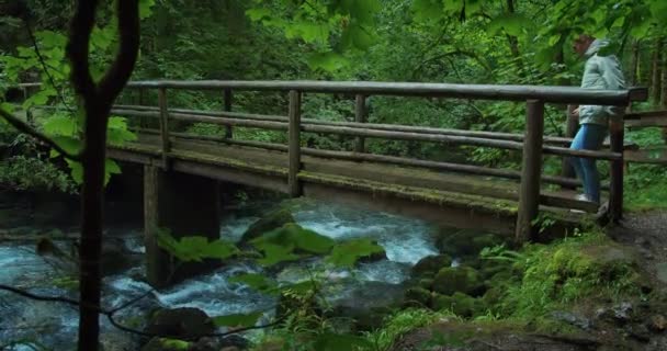 Frau Beim Wandern Über Epische Holzbrücke Nationalpark Mädchen Läuft Über — Stockvideo
