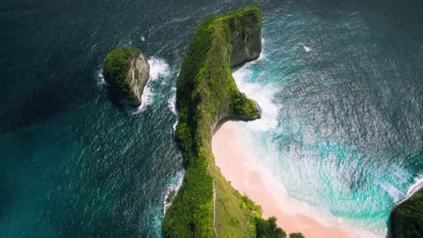 Okyanus Kıyısındaki Tropik Değmemiş Kumlu Sahil Okyanus Dalgalarıyla Dolu Yeşil — Stok video