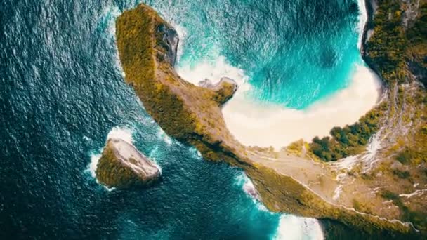 Okyanus Kıyısında Tropikal Ormanlı Sonbahar Manzarası Değmemiş Kumsal Gök Mavisi — Stok video