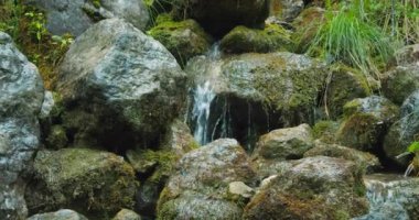 Dağlardaki taşların arasından akan temiz su akıntısı. Rivulet su sıçratıyor. Karanlık Vadi 'de bahar açık dere, Avusturya' da Lammer Klamm vadisi..