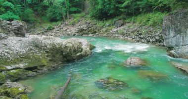 Ormanda zümrüt yeşili suyu olan Rocky Nehri kıyısı. Avusturya 'daki Dark Gorge Lammerklamm. Bol kaynak, temiz dere..