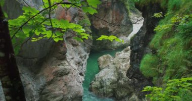 Kayalık vadi ve temiz kaynak suyu akıntısı olan dağ nehri. Yağmur sırasında ağaçlardaki ıslak yapraklar. Avusturya 'daki Dark Gorge Lammerklamm' da etkileyici bir gözetleme noktası, Scheffau..