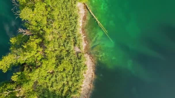 Dağ Gölünün Saf Ayna Suyu Sık Yeşil Orman Manzarası Yaz — Stok video