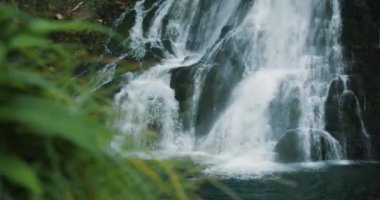 Alplerdeki yosunlu dağ kayalarının üzerinden çağlayan şelale. Gollinger Wasserfall Salzburg, Avusturya yakınlarında.