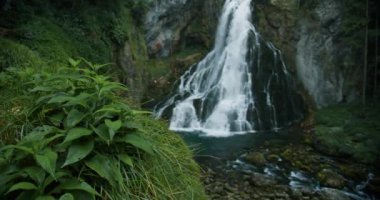Alplerdeki yosunlu dağ kayalarının üzerinden çağlayan şelale. Gollinger Wasserfall Salzburg, Avusturya yakınlarında.