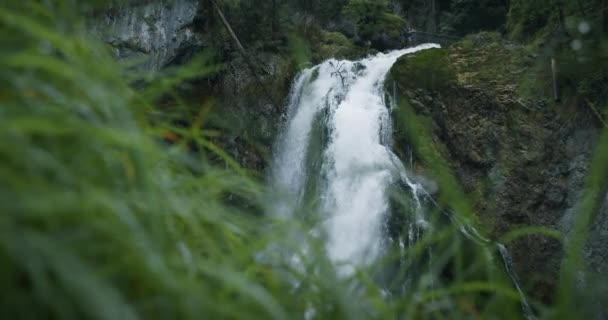 Der Malerische Gollinger Wasserfall Österreich Grünes Gras Mit Regentropfen Naturerlebnis — Stockvideo