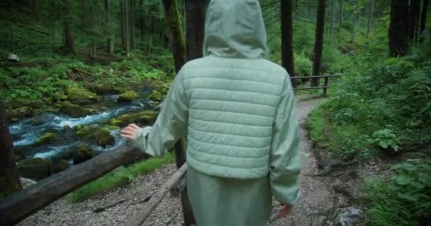 女徒步旅行者沿着山河在针叶林中散步 野外活动和野外旅行 — 图库视频影像