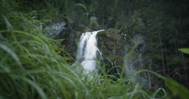 Scénický Vodopád Gollinger Wasserfall Rakousku Zelená Tráva Kapkami Deště Přírodní — Stock video