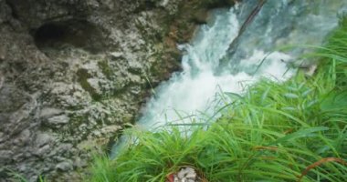 Avusturya 'nın Kayalık Karanlık Geçidi' nde tam teşekküllü bir dağ deresi akıyor. Dağ geçidinde temiz su. Şiddetli yağmurda çekim yapmak. Lammerklamm yürüyüş rotası.