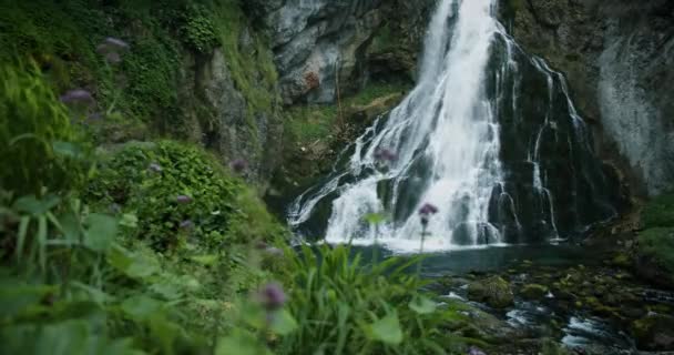 Cascada Cascada Sobre Musgosas Rocas Montaña Los Alpes Gollinger Wasserfall — Vídeos de Stock