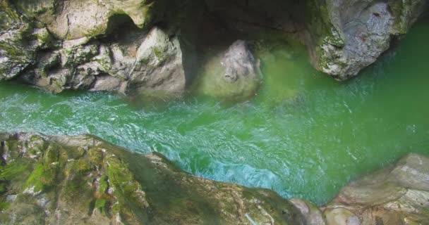 Zümrüt Yeşili Suyla Birlikte Dağ Deresi Lammer Nehri Avusturya Dar — Stok video