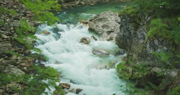 Fiume Montagna Con Limpido Flusso Acque Bianche Nella Foresta Verde — Video Stock