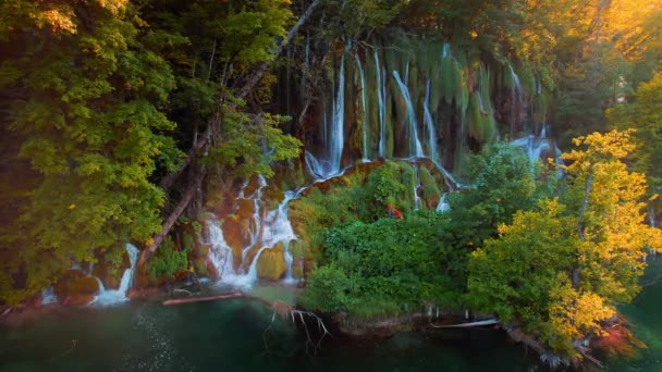 Waterval Het Najaar Bos Met Kleurrijke Bomen Smaragd Groen Zoet — Stockvideo