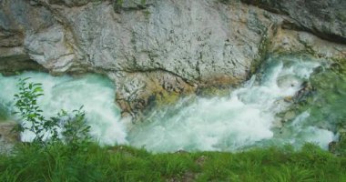 Dağ alp nehri, Lammerklamm Avusturya 'daki kayaların üzerinden akar. Bahar yağmurlu günlerinde berrak mavi suyla akan akarsu