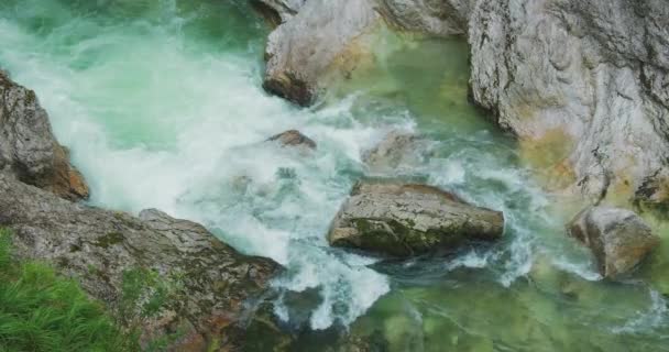 Agua Clara Rápida Del Río Montaña Que Fluye Cerca Fuerte — Vídeos de Stock