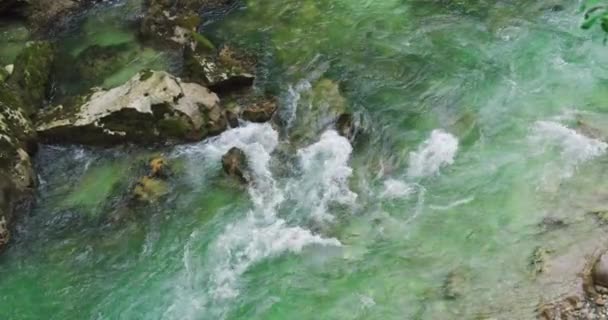 Kayalık Vadide Akıntılı Dağ Nehri Manzarası Beyaz Suyun Yavaş Çekimde — Stok video