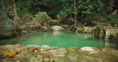 Etrafı yeşilliklerle çevrili ve suyun yumuşak uğultusuyla kaplı olan Nusa Penida 'daki bu doğal havuz dünyadan huzurlu bir kaçıştır..