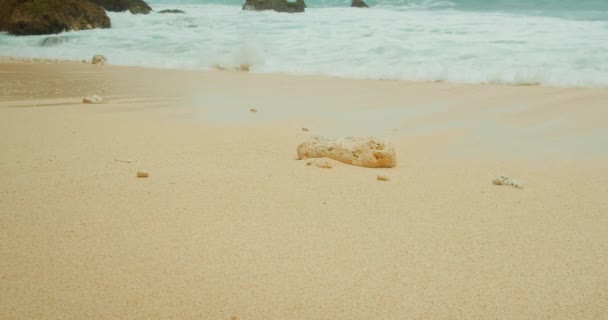 Una Spiaggia Serena Con Dolce Abbraccio Delle Onde Resti Corallo — Video Stock