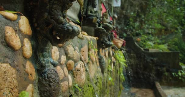 Cérémonie Bénédiction Milieu Jungle Dense Tembeling Nusa Penida Prêtre Balinais — Video