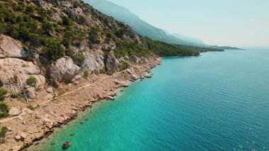 Hırvatistan 'da Makarska Riviera' da deniz boyunca çam ağaçları olan Rocky Beach. Turistler canlı yaz yaşamının ve sakin Adriyatik sularının keyfini çıkarıyorlar..