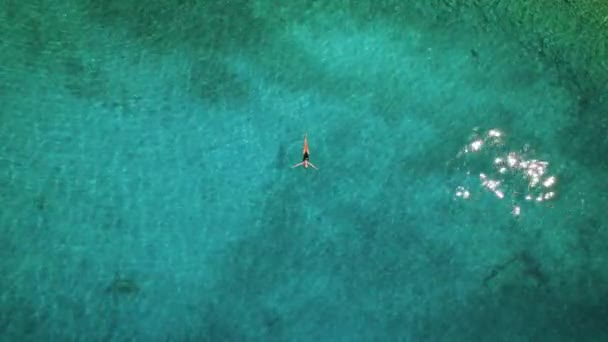 Ein Einsamer Schwimmer Schwimmt Ruhigen Klaren Gewässern Und Ruft Ein — Stockvideo