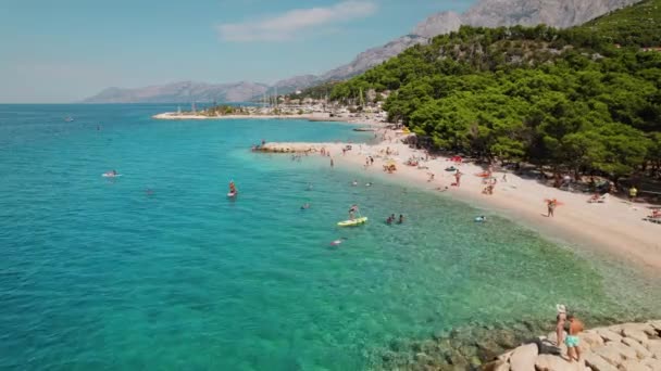 Makarska Rivieras Bustling Plajı Verdant Pine Trees Sakin Adriyatik Sularının — Stok video