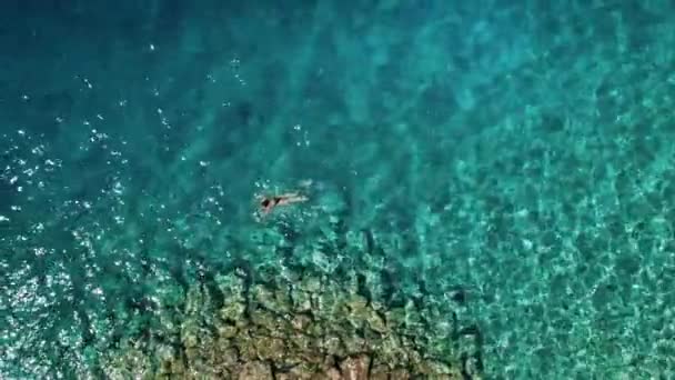 Samotna Kobieta Pływająca Cudownej Naturze Basenu Osobisty Kawałek Raju Rozległym — Wideo stockowe