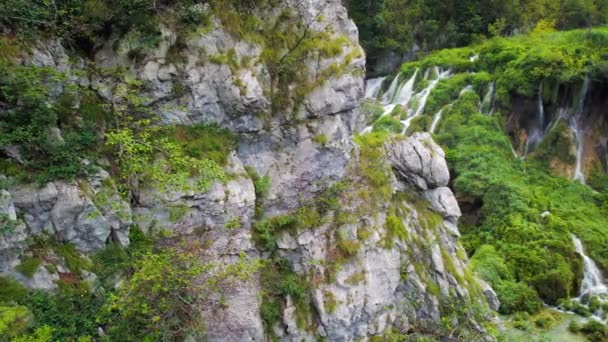 美丽的瀑布在夏季国家公园 风景秀丽的山溪流进了一个湖中 湖水清澈如水 夏季风景 — 图库视频影像