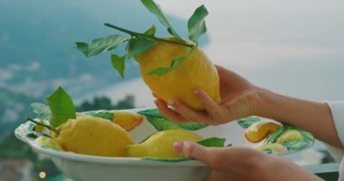 Scenic Vista ile Taze Limonların Nazikçe Tutuşu. Dağlar da bir serap olacaktır. Taze toplanmış narenciye meyveleri yaz için hazır...