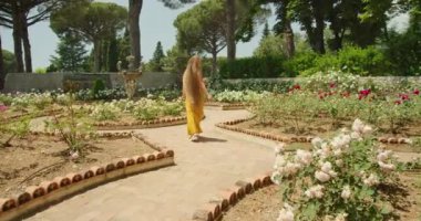 Sarı elbiseli bir kadın çiçek açan bir gül bahçesinde yürüyor...