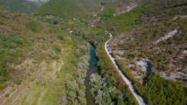 Yeşil bir ormandan geçen bir grup kirişin üzerinde dolambaçlı bir nehrin hava manzarası. Güneşli bir yaz gününde arka planda dağ.