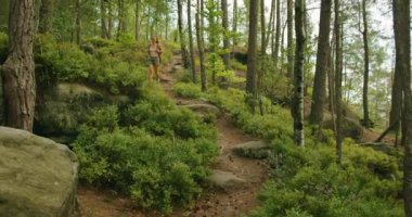 Yoğun yeşillik ve uzun ağaçlarla çevrili bir ormanda yürüyüş yapan, günlük yaz kıyafetleri giyen ve sırt çantası taşıyan bir kadın...